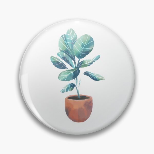Item preview, Green House Plant - Ficus Audrey designed and sold by tarynjohnson.
