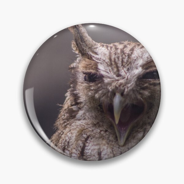 Item preview, Tropical  Screech-Owl designed and sold by MariaJoseMyArt.