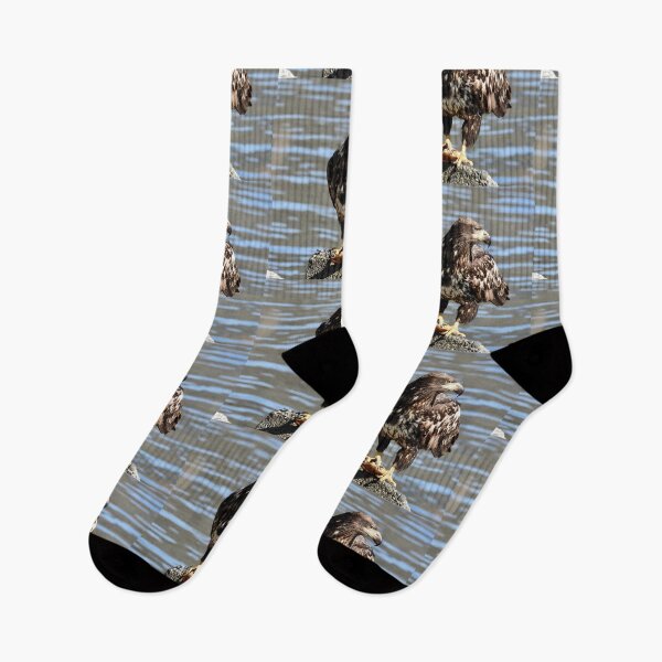 Item preview, Juvenile bald eagle designed and sold by RichImage.