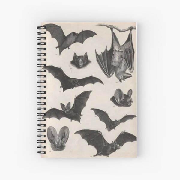vintage victorian bat illustrations Spiral Notebook