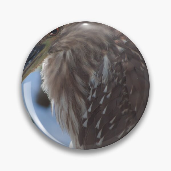 Item preview, Black-crowned Night Heron designed and sold by KHartmann.