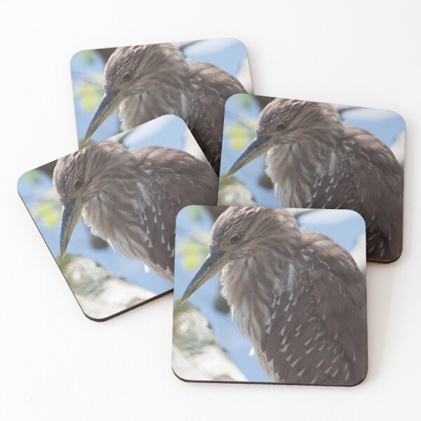 Item preview, Black-crowned Night Heron designed and sold by KHartmann.