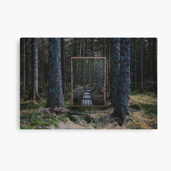 Mirror Of The Soul Canvas Print