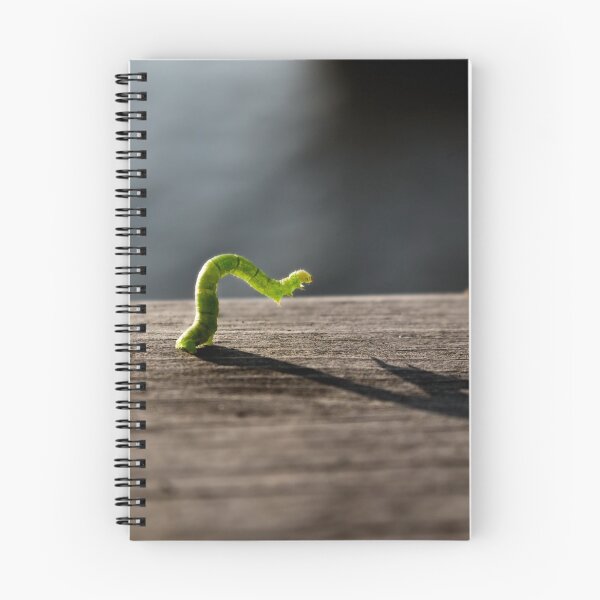 Item preview, Inch worm designed and sold by LevyAmanda.