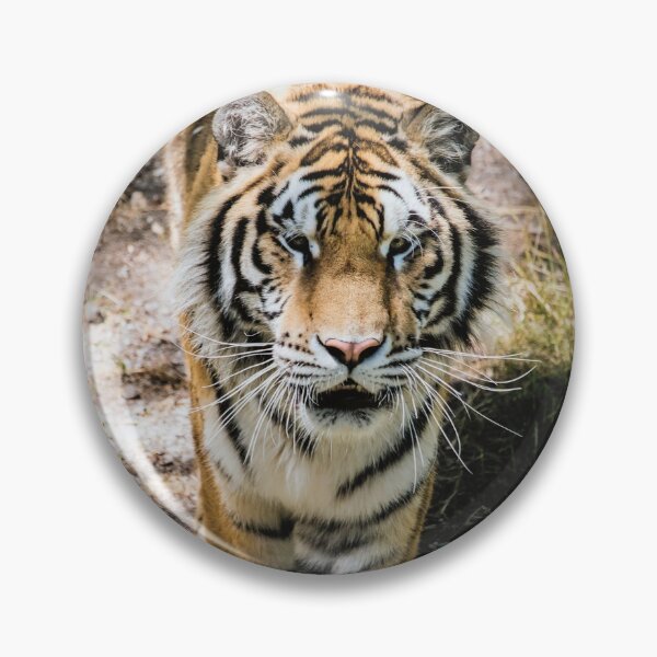 Item preview, Bengal tiger designed and sold by LevyAmanda.