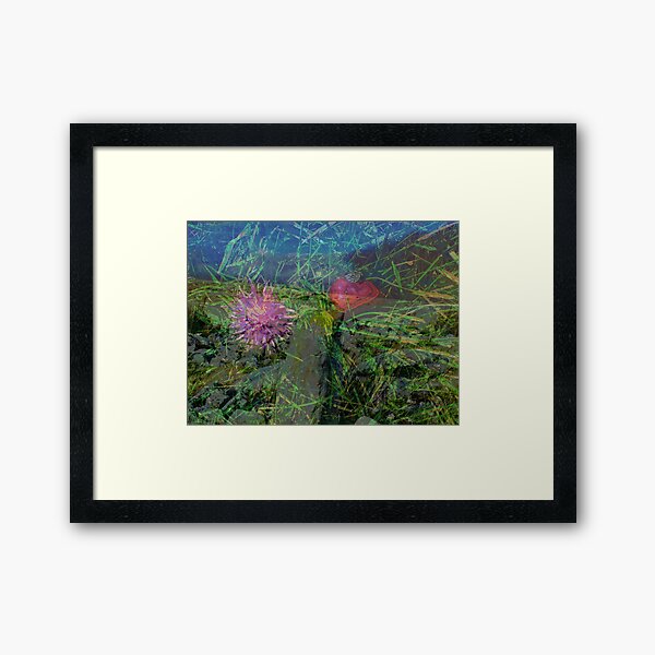 Red and Blue Framed Art Print
