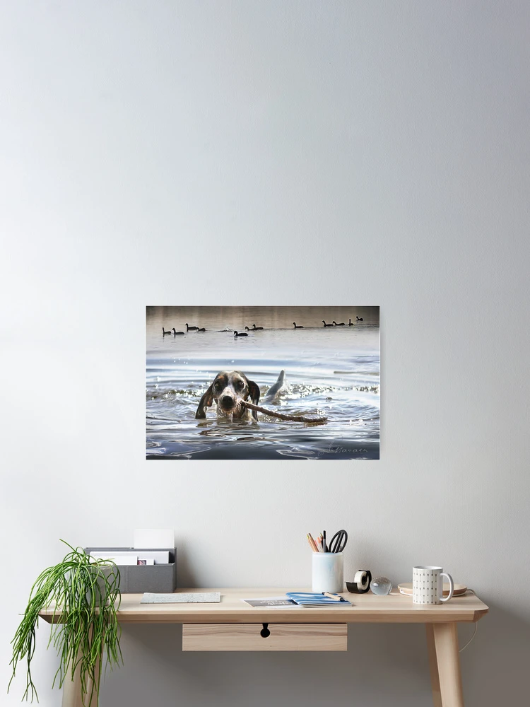 Thumbnail 2 of 3, Poster, Fetch designed and sold by tinypaws.