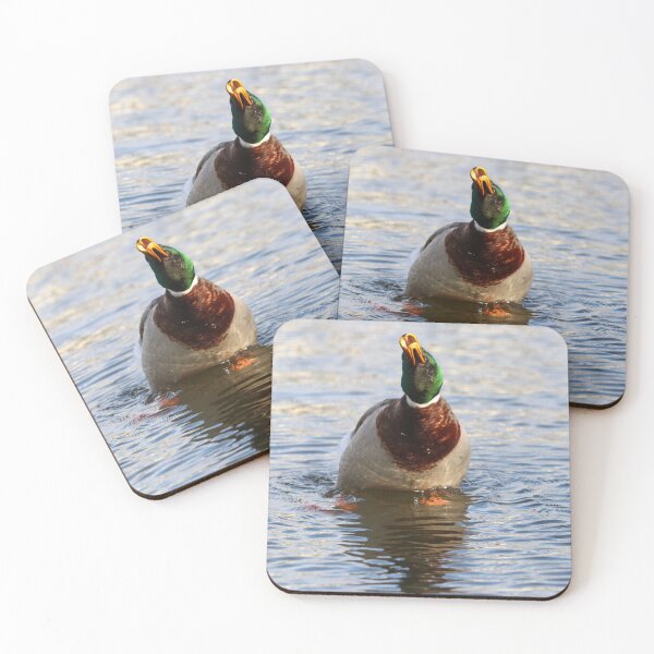 Item preview, Mallard flourish designed and sold by GreyFeatherPhot.