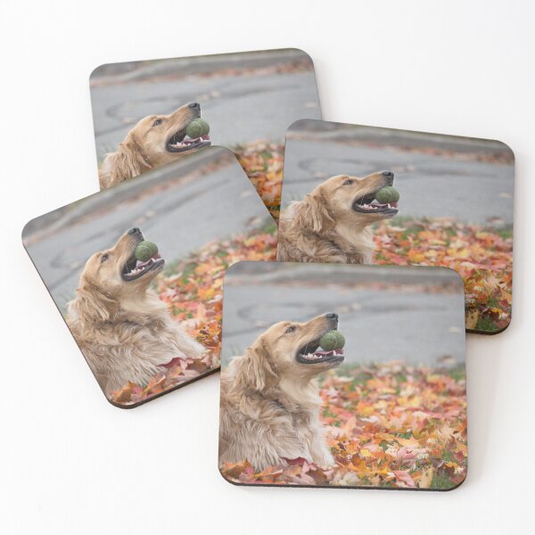Item preview, Golden retriever lying on fall leaves designed and sold by LevyAmanda.