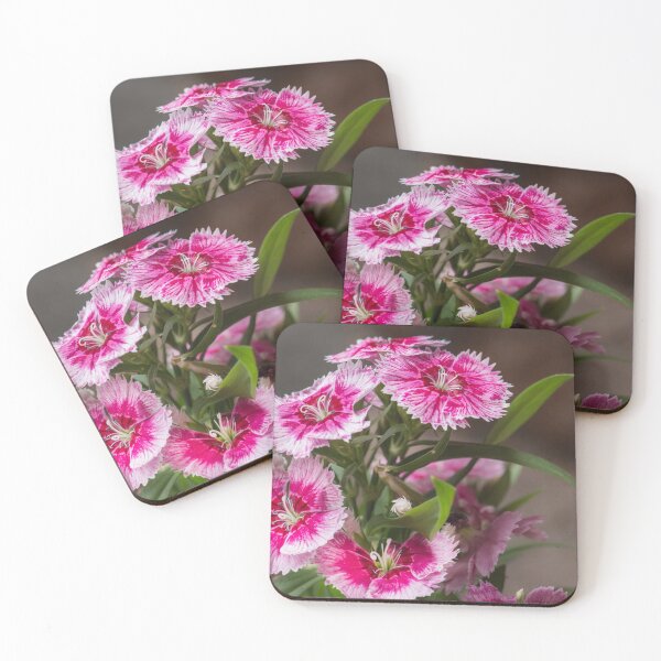 Item preview, Sweet William designed and sold by LevyAmanda.