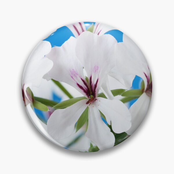 Item preview,  Ivy-leaved Pelargonium  designed and sold by Chris Burrows.