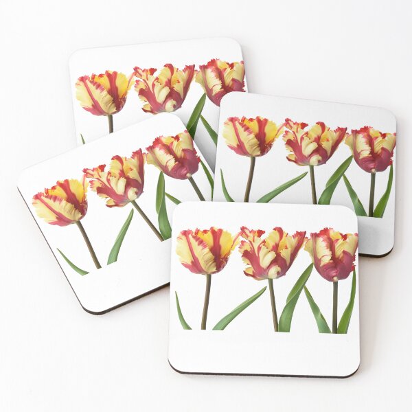 Item preview, Tulipa  'Flaming Parrot'    Parrot Group  Tulip designed and sold by Chris Burrows.