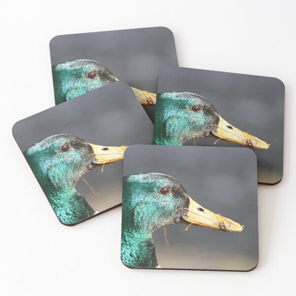 Item preview, Glossy mallard drake designed and sold by GreyFeatherPhot.