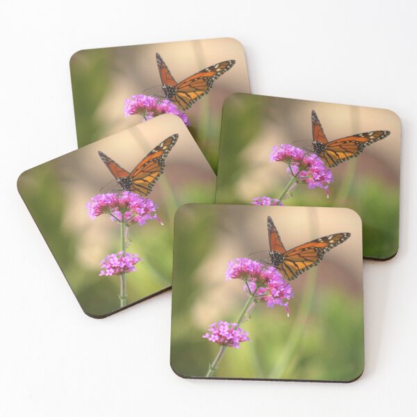 Item preview, Monarch Butterfly at Balboa Park in San Diego designed and sold by K D Graves Photography.
