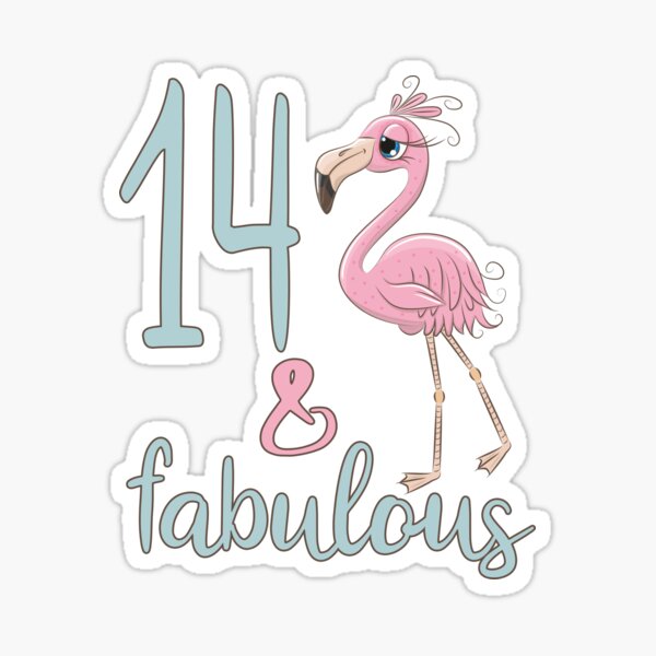 14 x Vinyl Decal Stickers for Birthday party 
