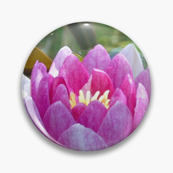 Item preview, Beautiful Flower in the summer sun designed and sold by Hayden Morris.