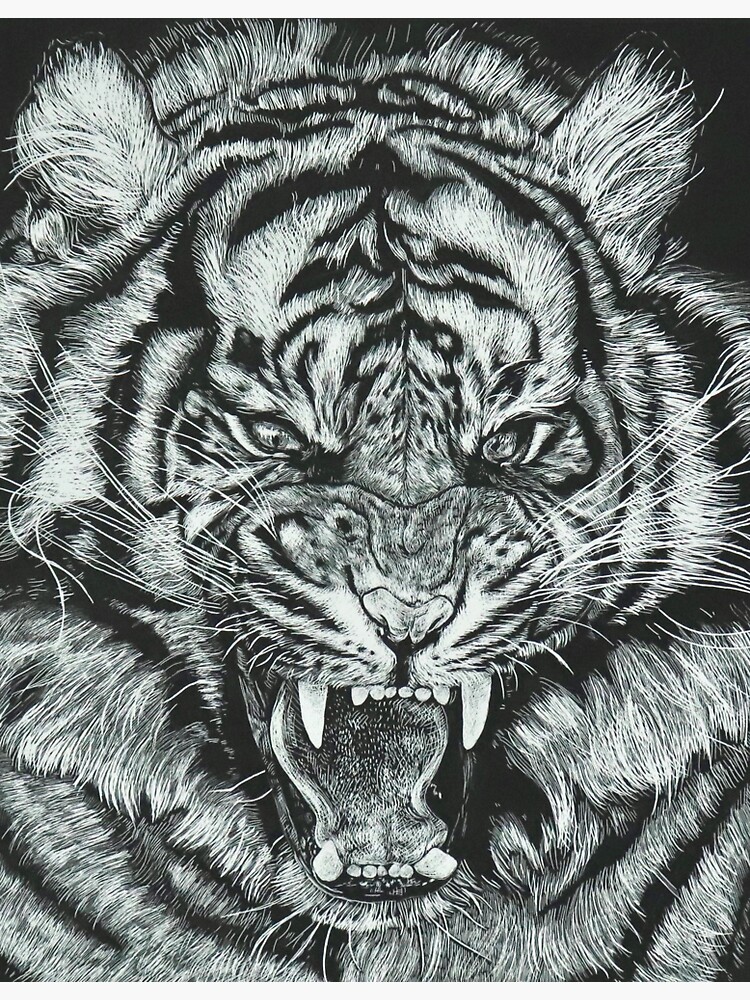 Tiger Scratch Art | Sticker