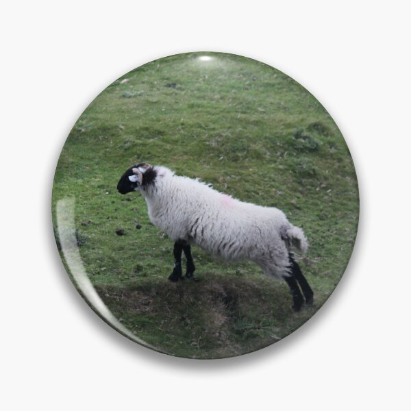 Item preview, Irish SHeep Exercising in the mountains. designed and sold by Lettie Cronje-Steyn.