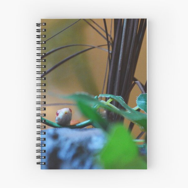 Item preview, Cute Snake-Find The Reptile designed and sold by Nature's Reflections.
