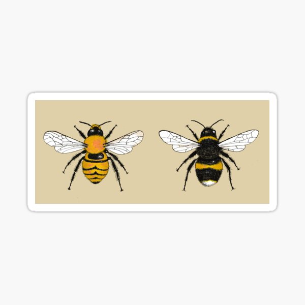 Bumblebee Illustrations Sticker