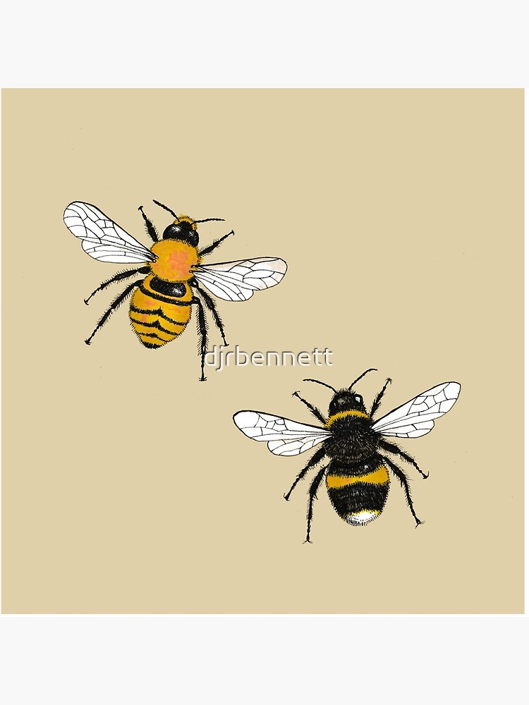 Bumblebee Illustrations by djrbennett