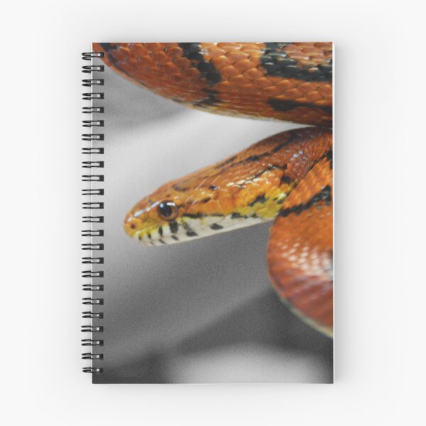 Item preview, Corn Snake I designed and sold by Nature's Reflections.