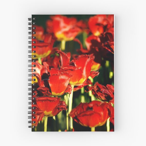 Item preview, Red tulips designed and sold by Shoshina.