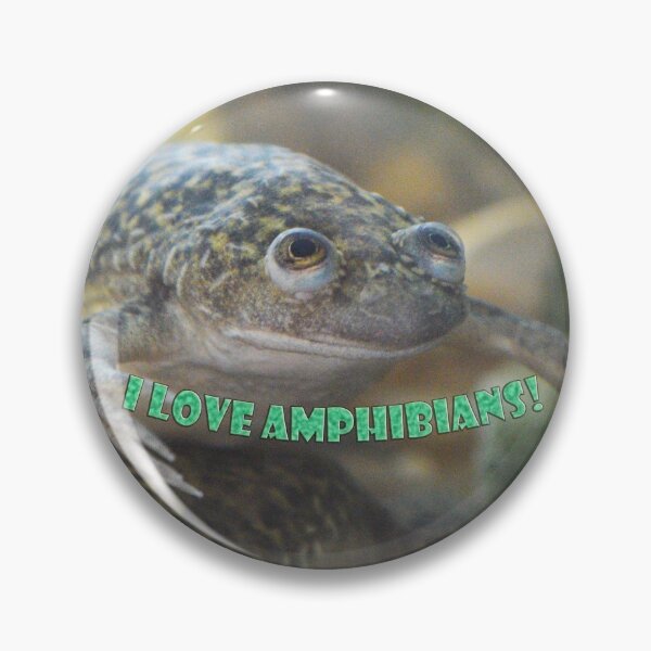 Item preview, African Clawed Frog II designed and sold by Nature's Reflections.