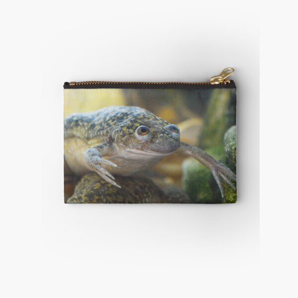 Item preview, African Clawed Frog II designed and sold by Nature's Reflections.
