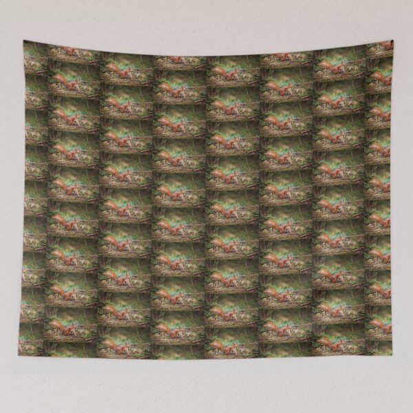 Item preview, Red Squirrel - Sciurus vulgaris designed and sold by heidipics.