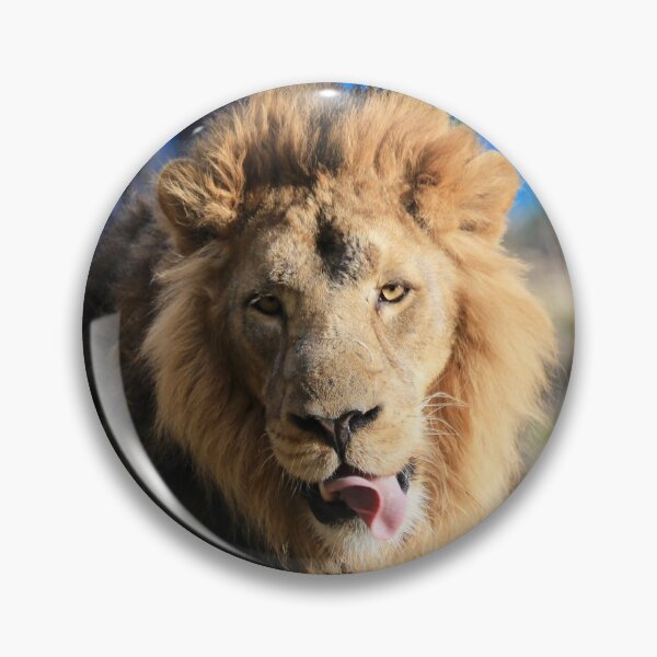 Item preview, Bhanu the Asiatic Lion designed and sold by Sheila Smith.