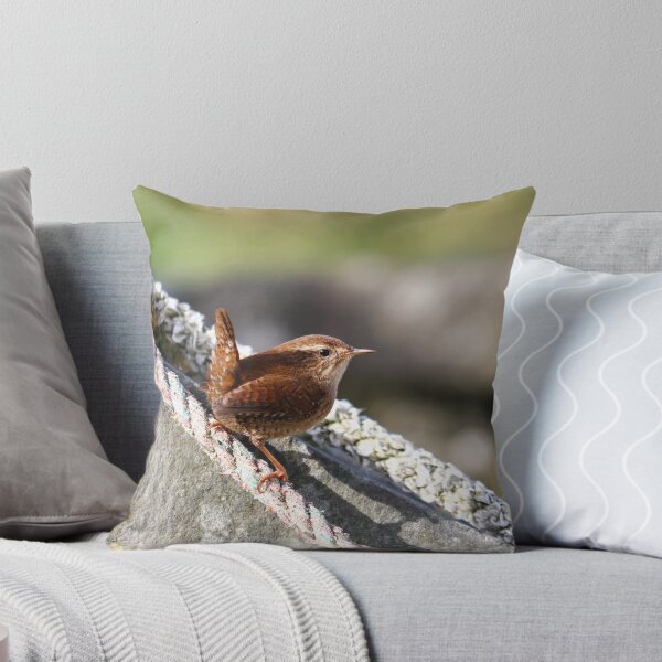 Item preview, Classic wren pose designed and sold by GreyFeatherPhot.