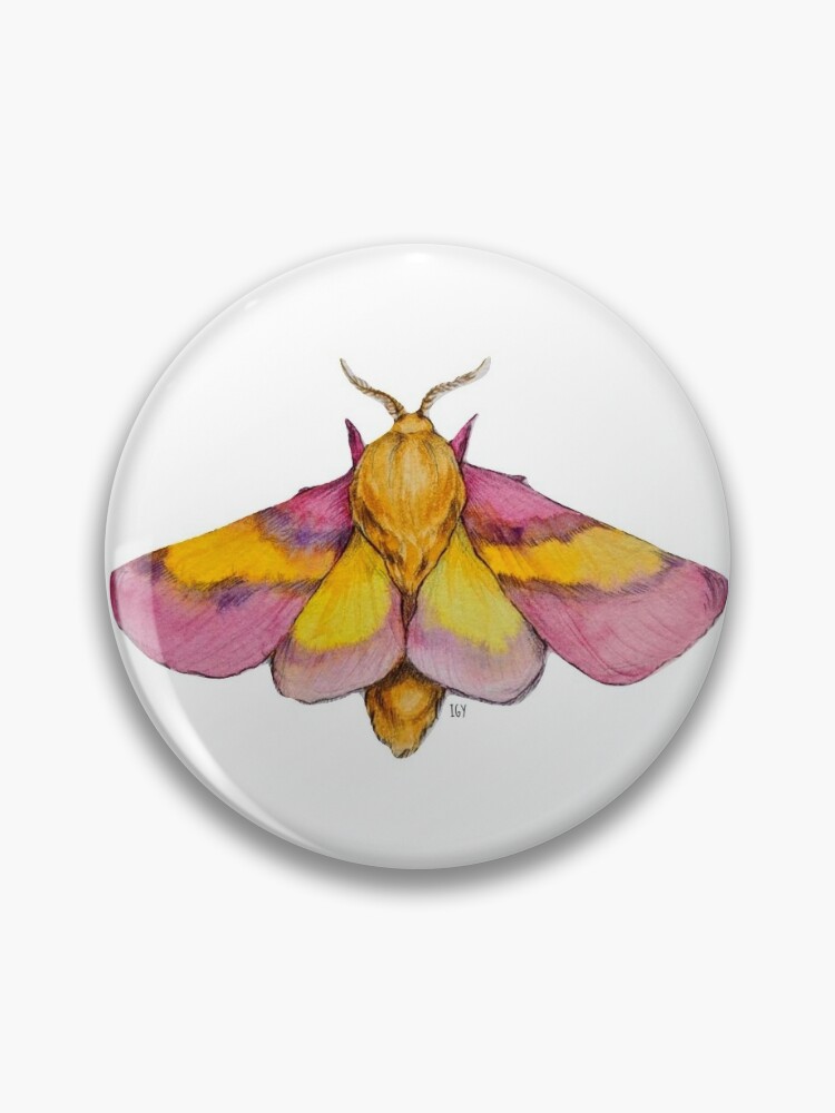 Rosy Maple Moth Hair Clip