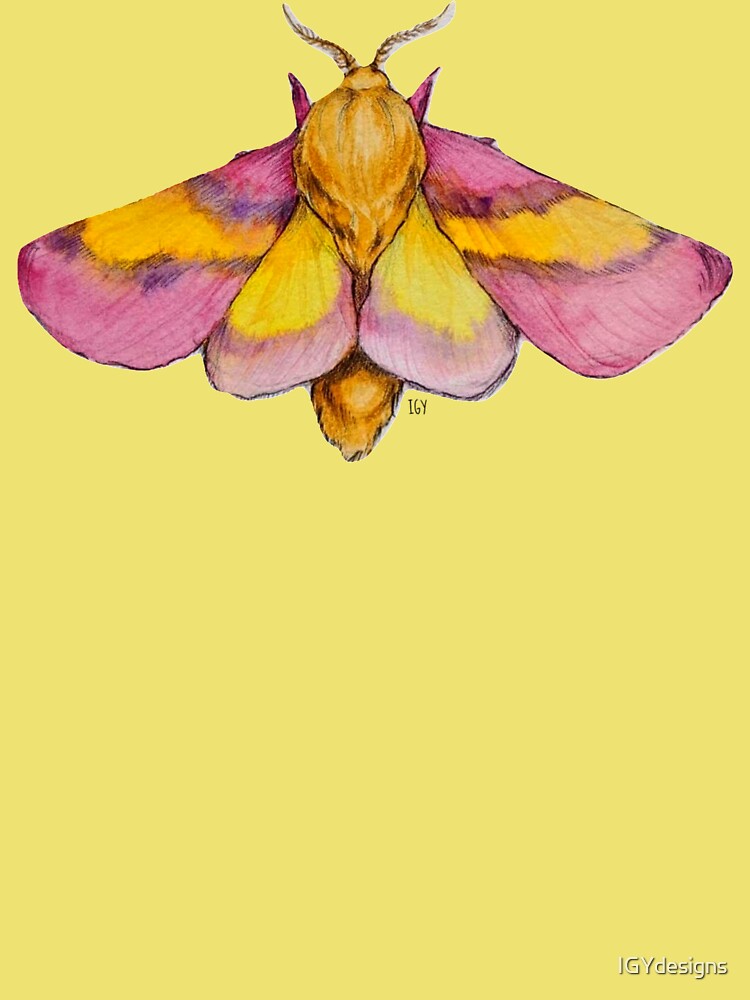 Rosy Maple Moth Hair Clip