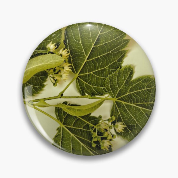 Item preview, Basswood Leaves And Flowers designed and sold by Sandra Foster.