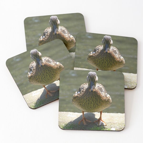 Item preview, Brown Duck designed and sold by MidnightHoots.