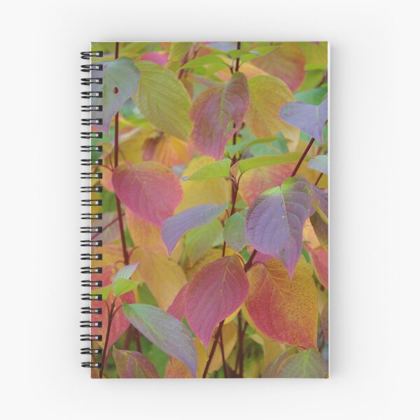 Item preview, Autumn Cornus designed and sold by lezvee.