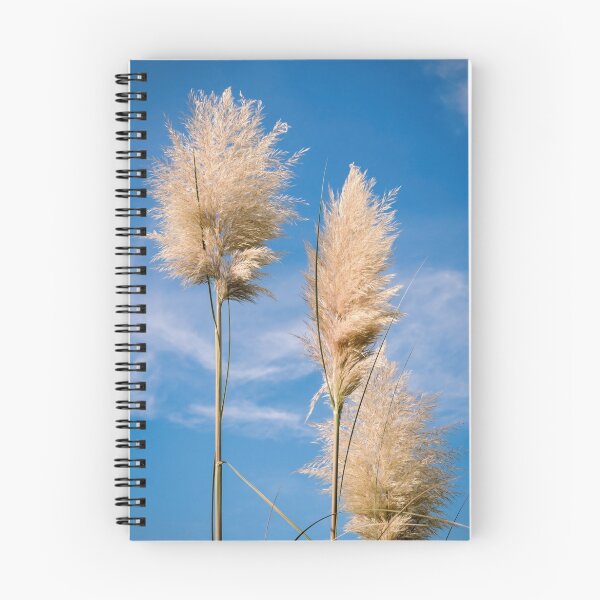 Item preview, Pampas designed and sold by JEZ22.