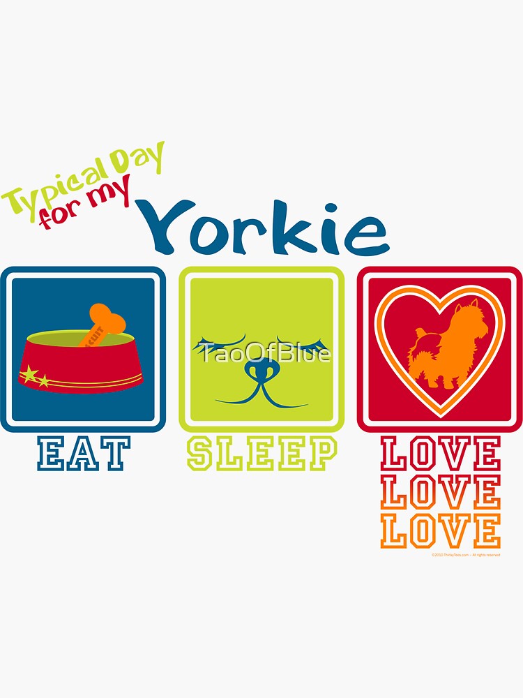 Typical Day For My Yorkie by TaoOfBlue