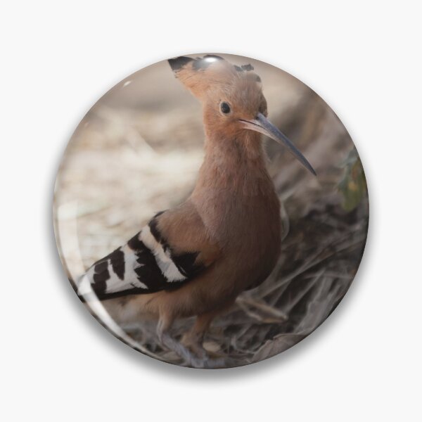 Item preview, Eurasian hoopoe, Upupa epops designed and sold by Zosimus.