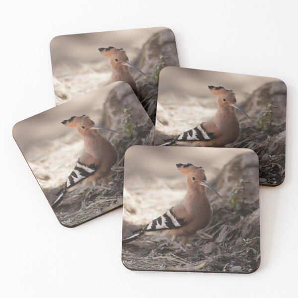Item preview, Eurasian hoopoe, Upupa epops designed and sold by Zosimus.