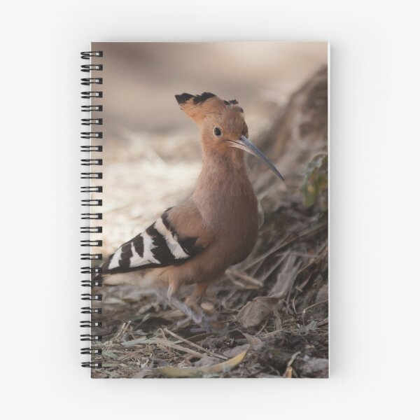 Item preview, Eurasian hoopoe, Upupa epops designed and sold by Zosimus.