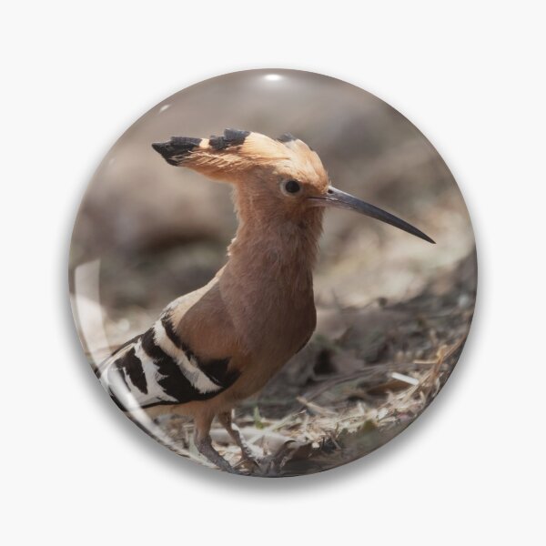 Item preview, Eurasian hoopoe, Upupa epops designed and sold by Zosimus.