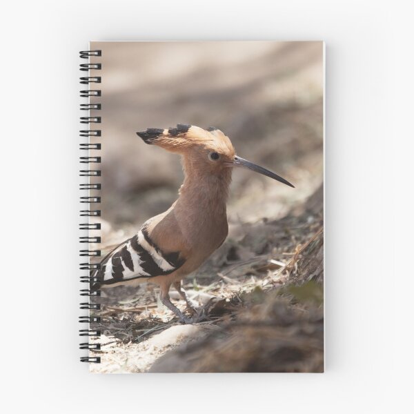 Item preview, Eurasian hoopoe, Upupa epops designed and sold by Zosimus.
