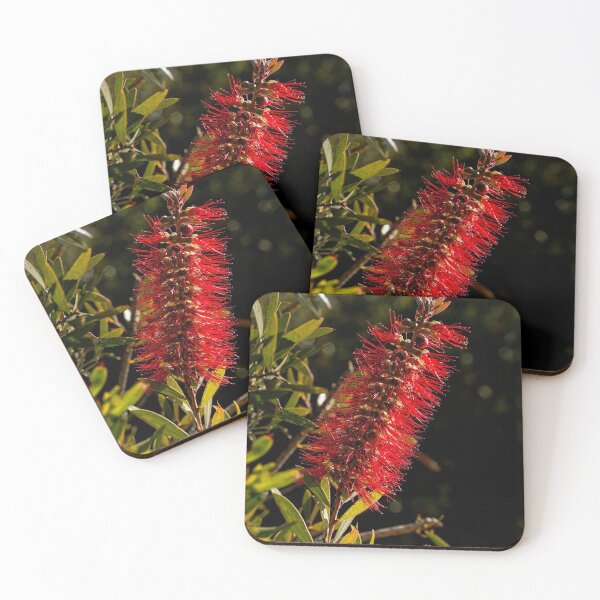 Item preview, Bottlebrush - Australia designed and sold by StevenRalserPhoto.