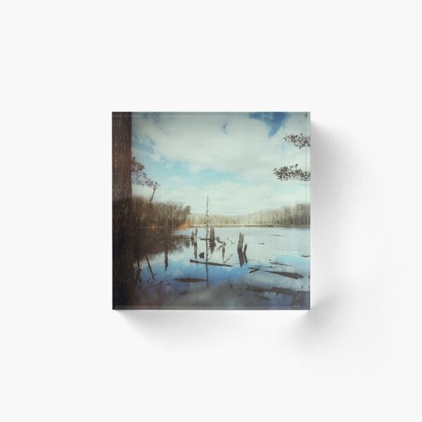 Vintage-style marsh photo Acrylic Block