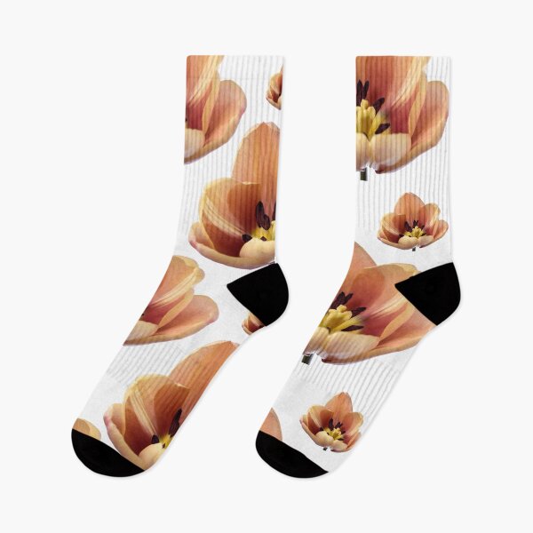Item preview, Tulipa 'La Belle epoque' Doble Early Tulip designed and sold by Chris Burrows.