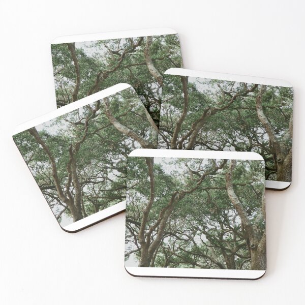 Item preview, Charelston Live Oaks designed and sold by ehitsheath.