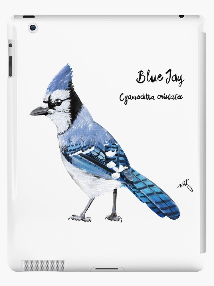 Blue Jay Sketch | iPad Case & Skin