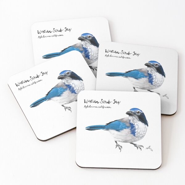 Item preview, Scrub Jay designed and sold by Michelle Maedow.